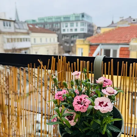 синьо лято ヴァルナ